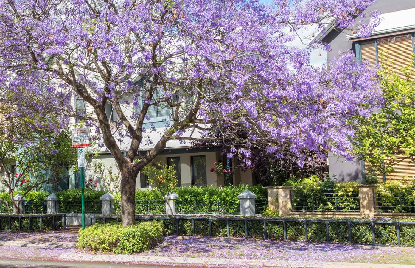 Growing City of Subiaco invests in its future 