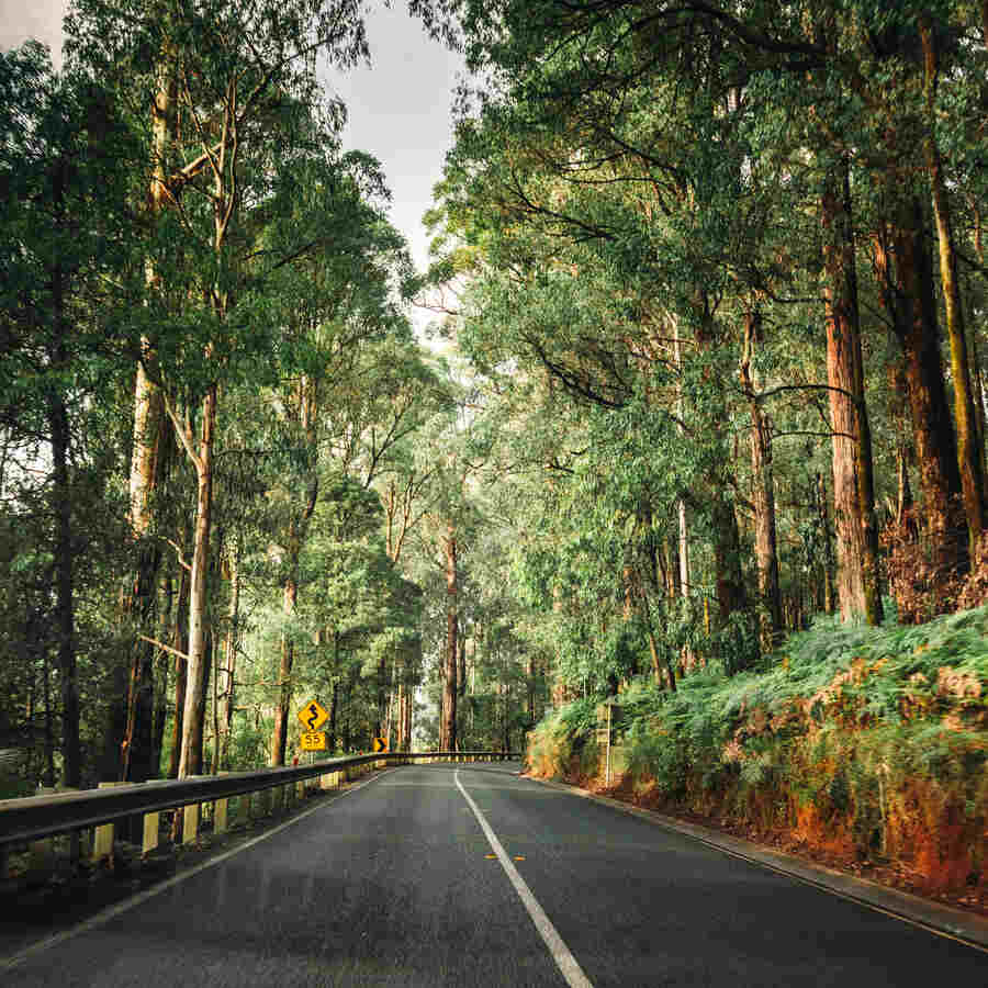 Yarra Ranges Shire Council completes major digital uplift in just 3 months
