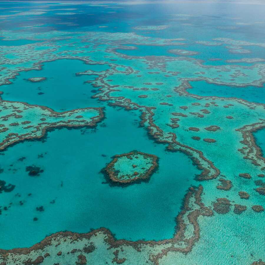 TechnologyOne supports Great Barrier Reef Marine Park Authority in protecting a global treasure