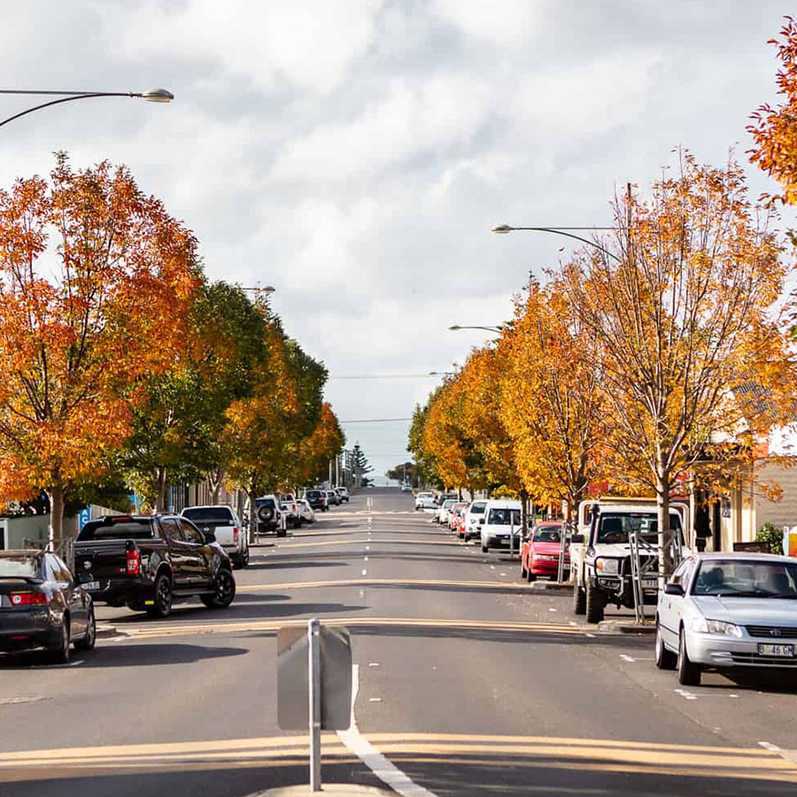 City of Devonport embraces new technology to keep local parks clean