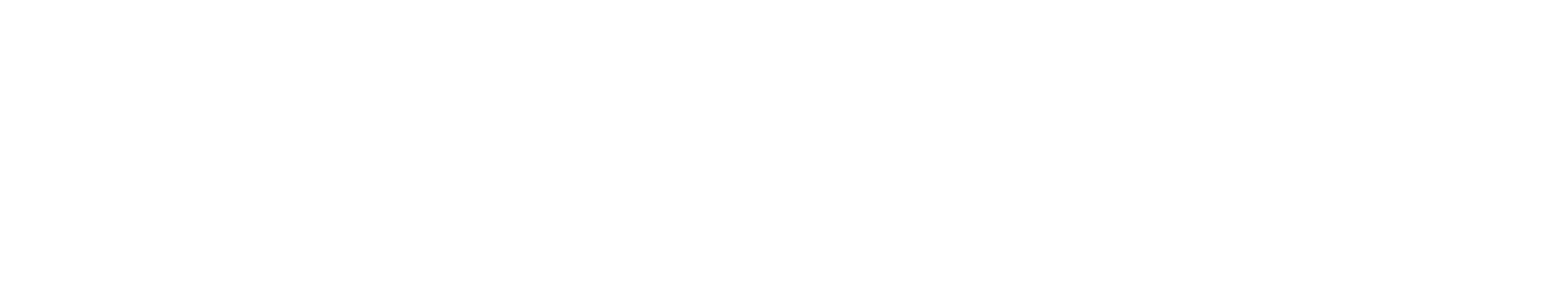 Our passion is to solve the complex.