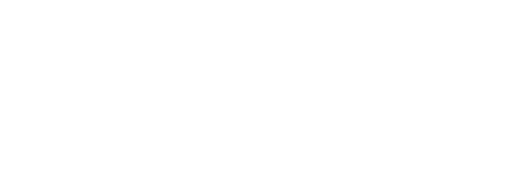 Our Values.