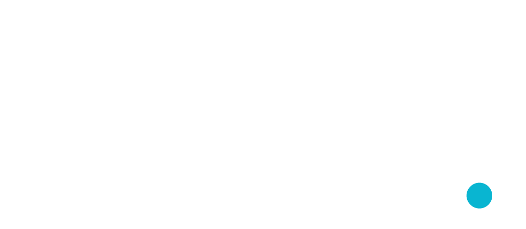 Our Purpose. 